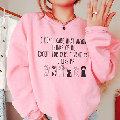 I Want Cats To Like Me